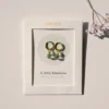A little kindness. Earring - Turquoise with freshwater pearl - Image 4